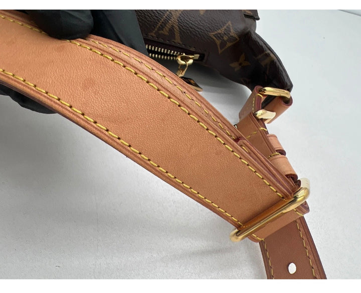 Louis Vuitton Bumbag Brown Monogram Canvas Crossbody Bag