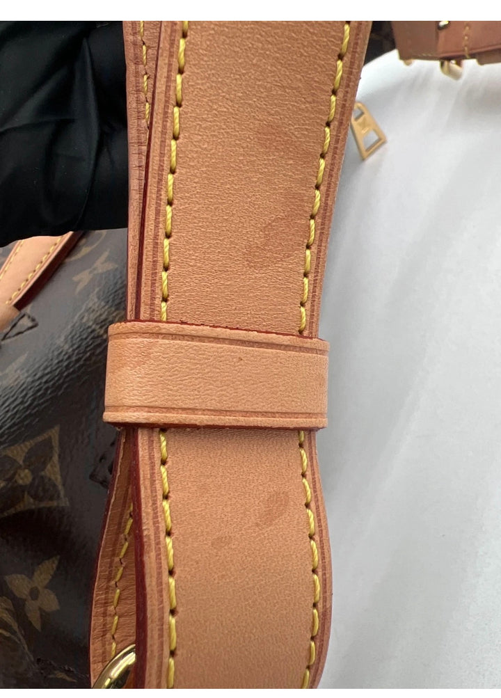 Louis Vuitton Bumbag Brown Monogram Canvas Crossbody Bag