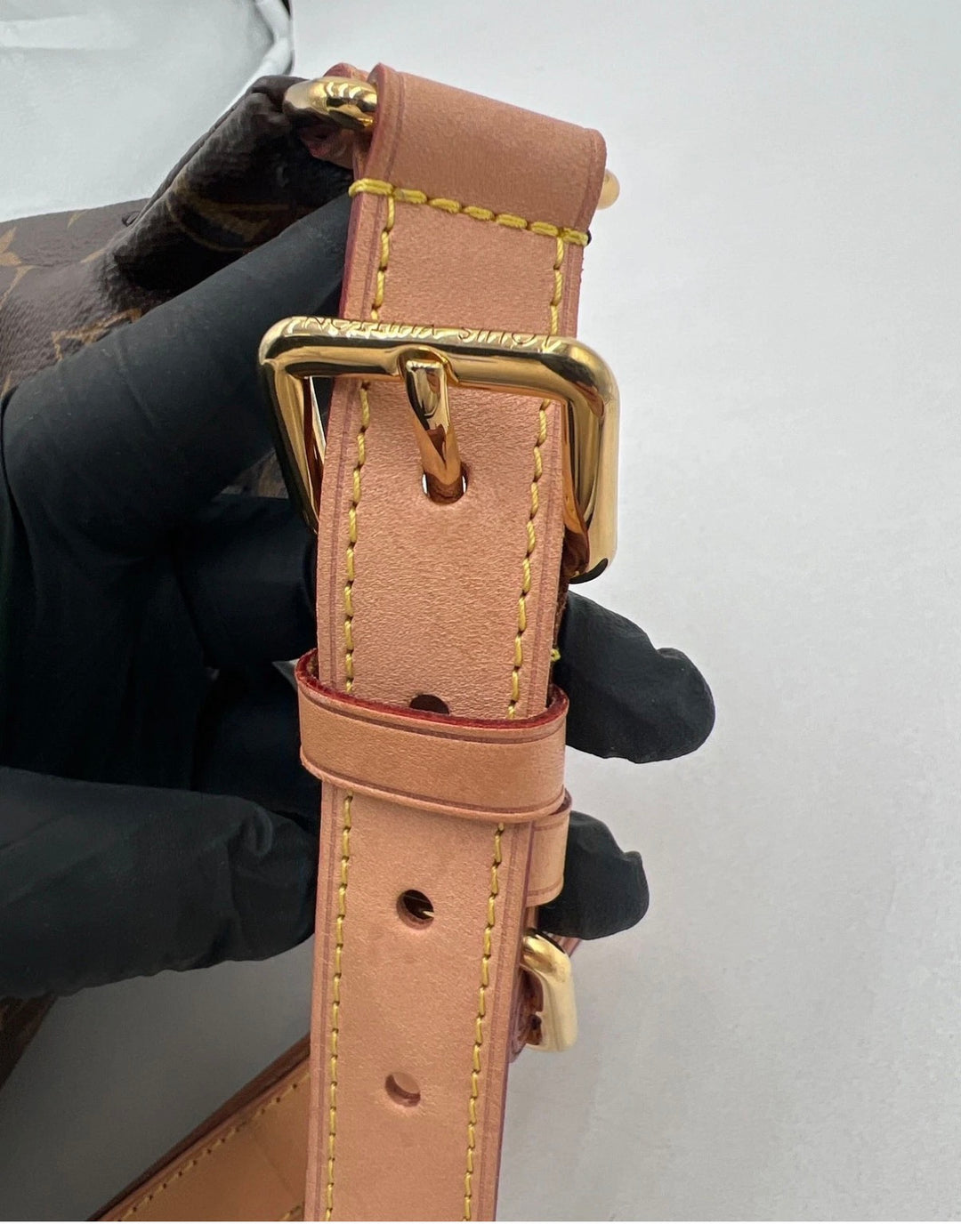 Louis Vuitton Bumbag Brown Monogram Canvas Crossbody Bag