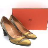 Hermes Lux 95 Printed Satin Pointed Toe Pumps