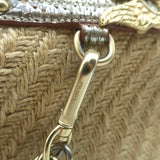 Prada Metallic Snakeskin-Trimmed Raffia Medium Hobo Bag Beige/Gold