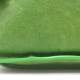 Proenza Schouler PS1 Mini Crossbody Bag Green Leather