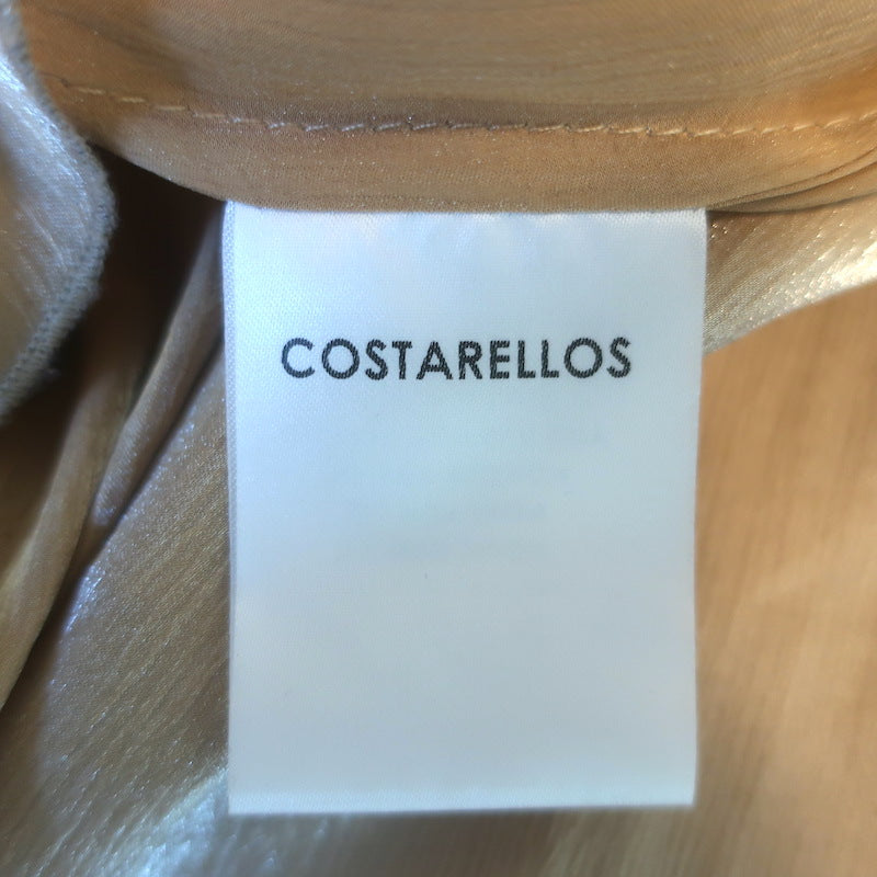 Costarellos Embroidered Tulle Gown Beige Size 40 Short Sleeve Maxi Dress