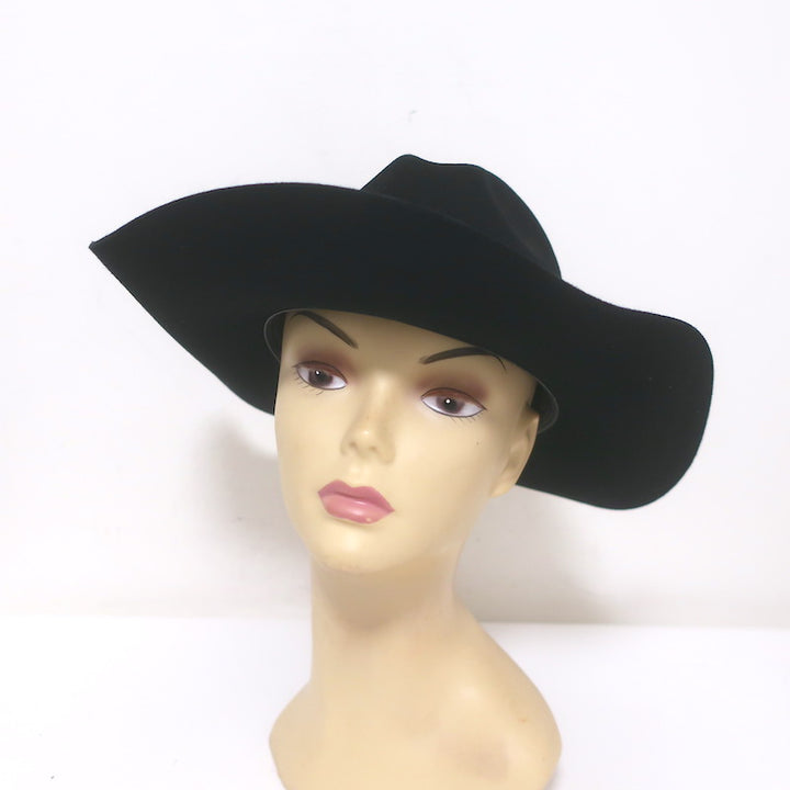 Stetson x Kemo Sabe Snake-Band Feathered Cowboy Hat Black 6x Fur Felt Size 54