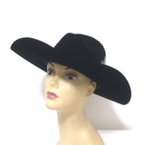 Stetson x Kemo Sabe Snake-Band Feathered Cowboy Hat Black 6x Fur Felt Size 54