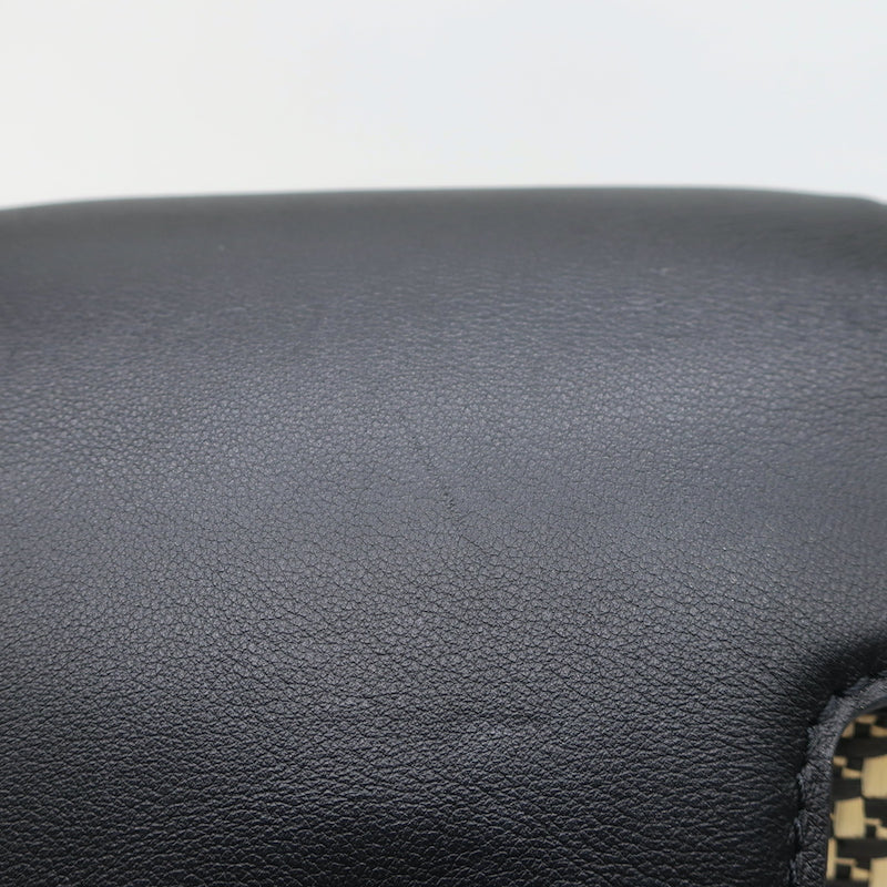 Louis Vuitton Limited Edition Capucines MM Woven Raffia Bag Beige/Black
