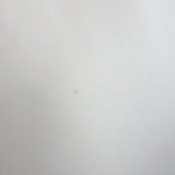 Chloe Scoop Neck Tank Top Milk Silk Crepe Size 38