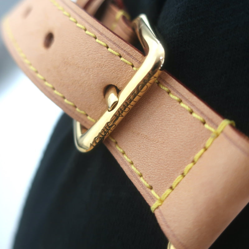 Louis Vuitton Bumbag Brown Monogram Canvas Crossbody Bag