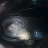 Louis Vuitton Spaceship Laureate Platform Combat Boots Silver Leather Size 38.5