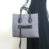 Celine Medium Phantom Luggage Tote Gray Cotton Canvas & Black Leather