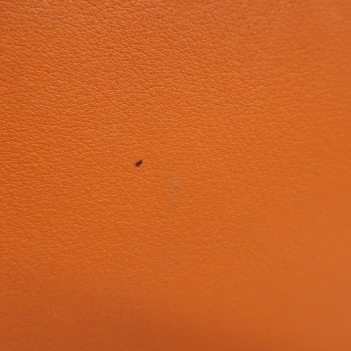 Hermes 2001 Globe Trotter Agenda Cover Orange Swift Leather Palladium Hardware