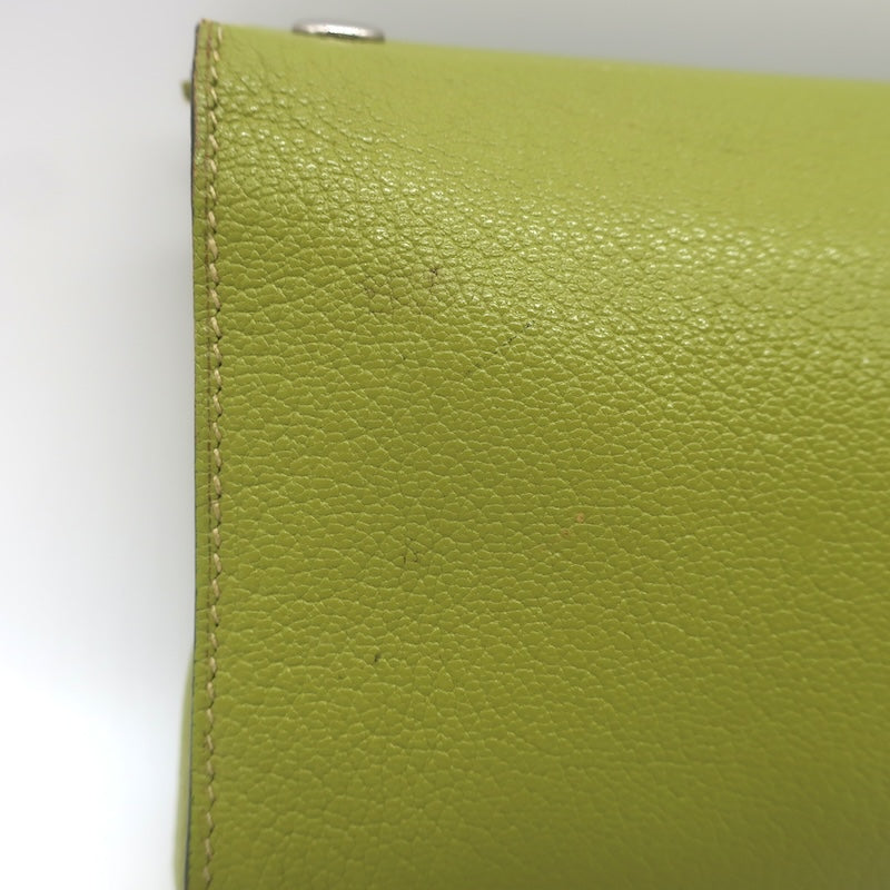 Hermes 2002 Karo GM Pouch Vert Anis Chevre Mysore Leather Cosmetic Bag