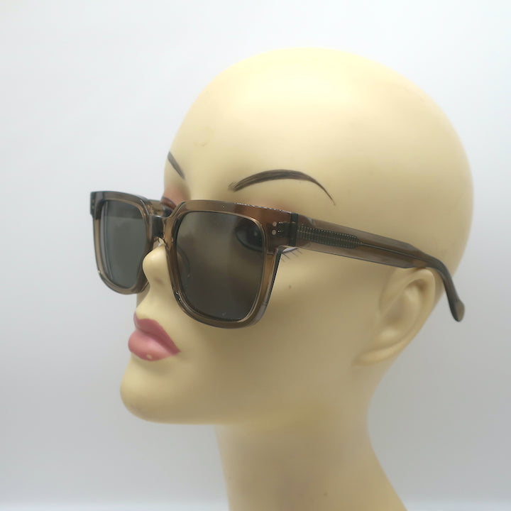 RAEN West Ghost Sunglasses Brown Transparent