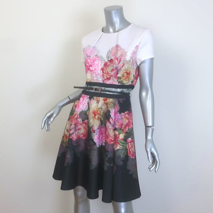 Ted Baker Valerey Belted Skater Dress Painted Posie Print Neoprene Size 2