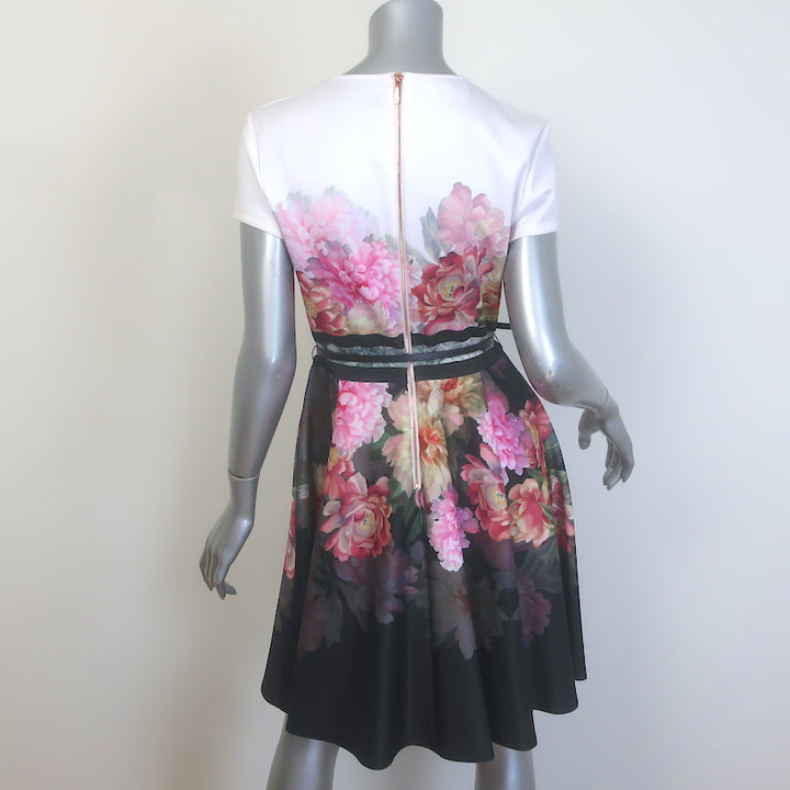 Ted Baker Valerey Belted Skater Dress Painted Posie Print Neoprene Size 2