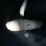 UGG x Jimmy Choo Starlit Fringed Ankle Boots Black Suede Size 8