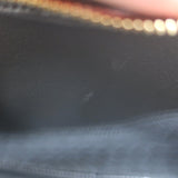 Celine Crecy Snakeskin Camera Bag Dark Taupe Small Crossbody