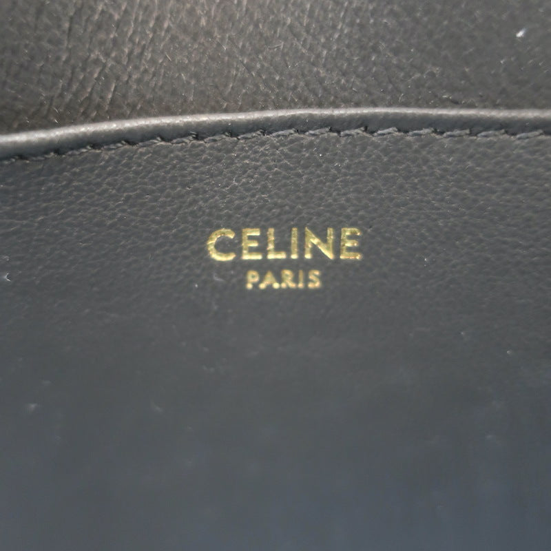 Celine Crecy Snakeskin Camera Bag Dark Taupe Small Crossbody