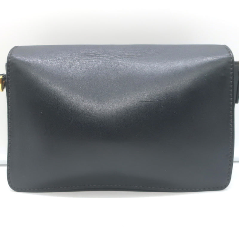 Christian Dior Dio(r)evolution Flap Bag Black Leather Crossbody
