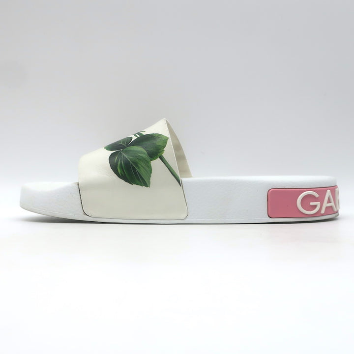 Dolce &amp; Gabbana Rose Print Pool Slides White Rubber Size 36