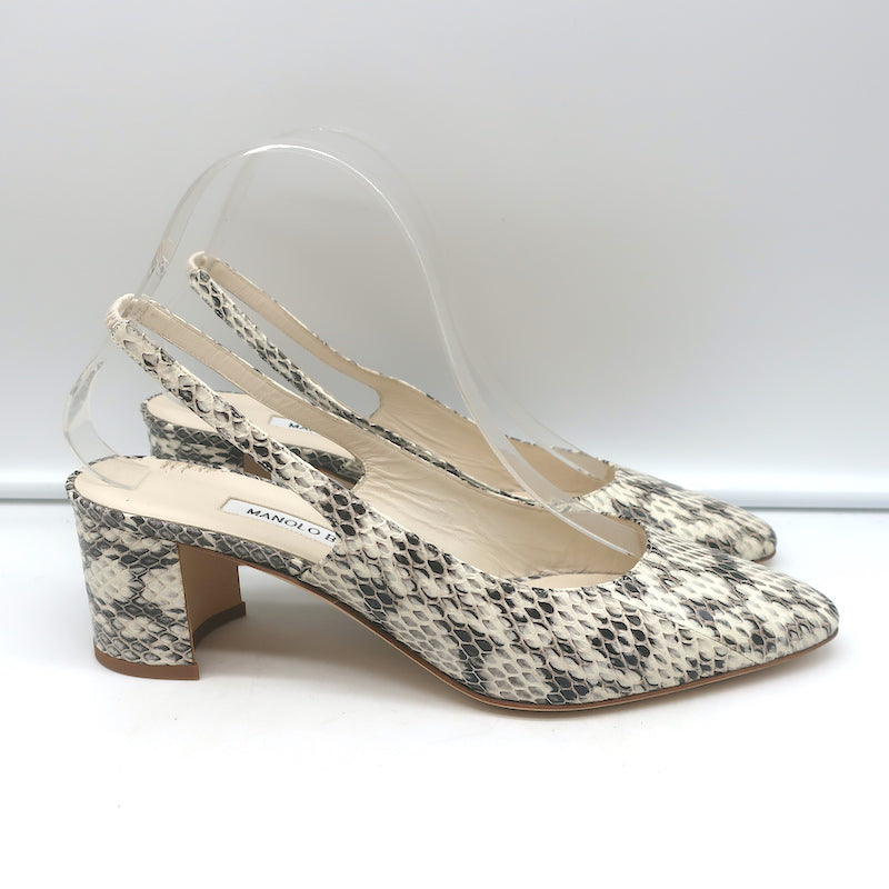 Manolo Blahnik Allurasa Slingback Pumps Cream Snakeskin Size 38.5 NEW