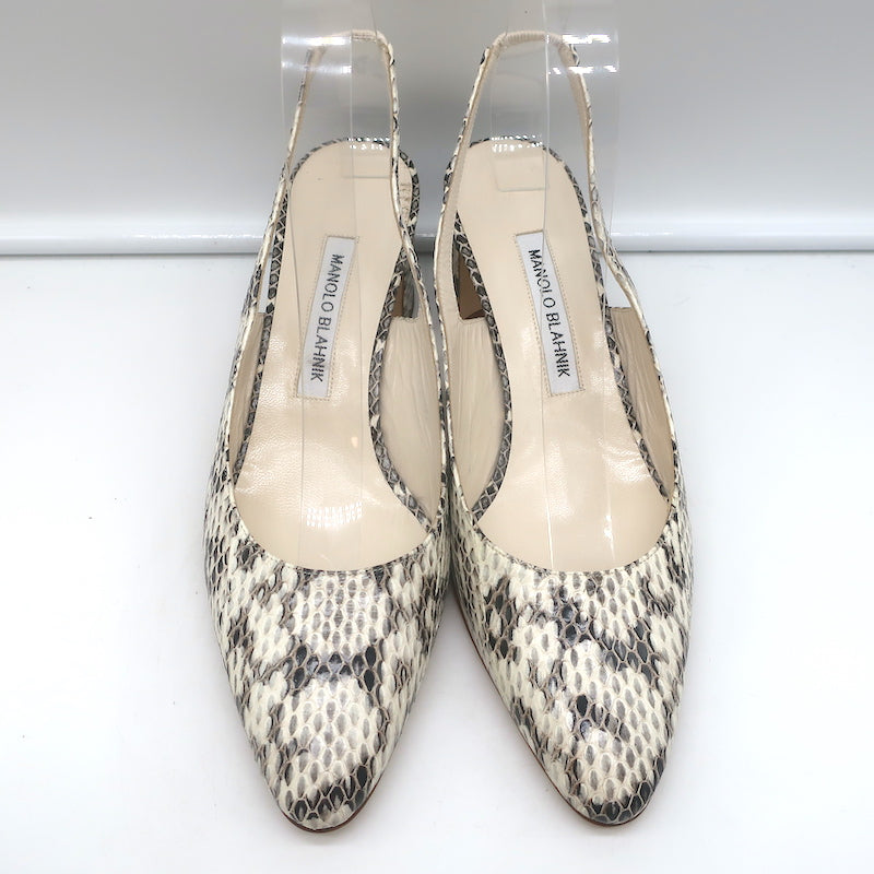Manolo Blahnik Allurasa Slingback Pumps Cream Snakeskin Size 38.5 NEW