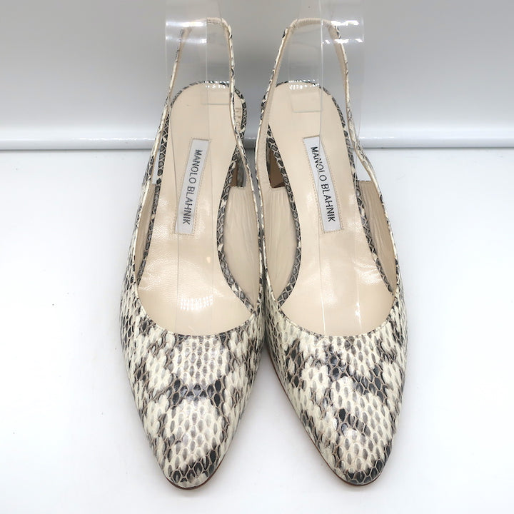Manolo Blahnik Allurasa Slingback Pumps Cream Snakeskin Size 38.5 NEW