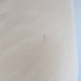 Gucci Web-Trim Padded Jacket Ivory Size 42