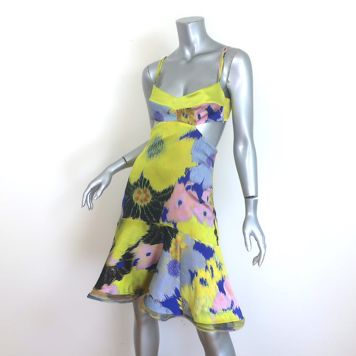 Silvia Tcherassi Analissa Cutout Fit &amp; Flare Dress Printed Satin Size Small NEW