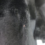 Pologeorgis Short Sleeve Fur Jacket Black Size Medium