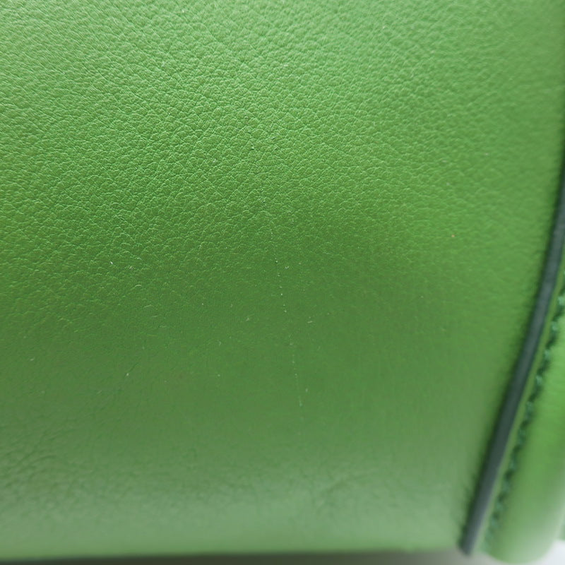 Celine Micro Luggage Tote Green Leather
