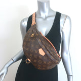 Louis Vuitton Bumbag Brown Monogram