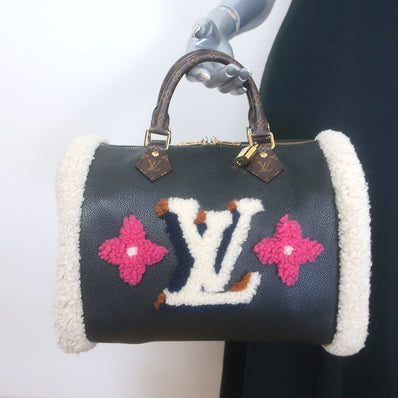 Louis Vuitton Monogram Teddy Speedy Bandouliere 30 