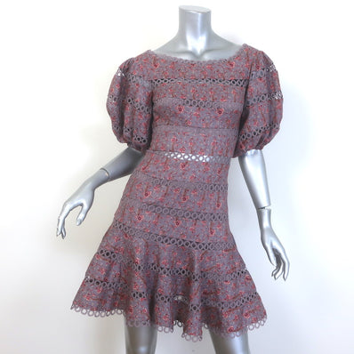 Zimmermann Juniper Ring Lace-Trim Mini Dress