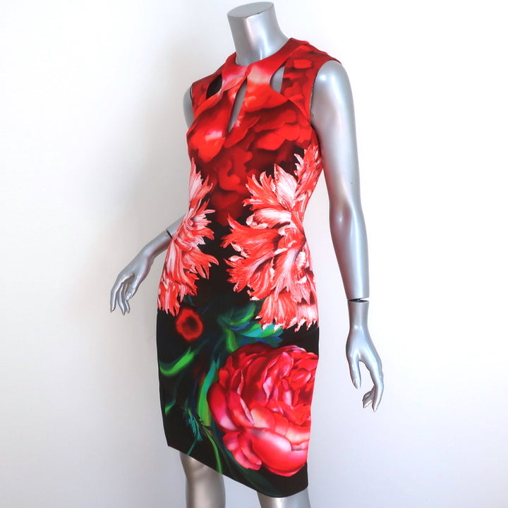 Peter Pilotto Cutout Dress Red Floral Print Size US 4 Sleeveless Sheath