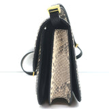 Celine Medium Classic Box Bag Gray/Cream Snakeskin Flap Bag