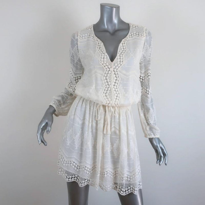 Joie Dress Bittern Cream Embroidered Silk &amp; Lace Size Small Blouson Mini available at CelebrityOwned.com img_1