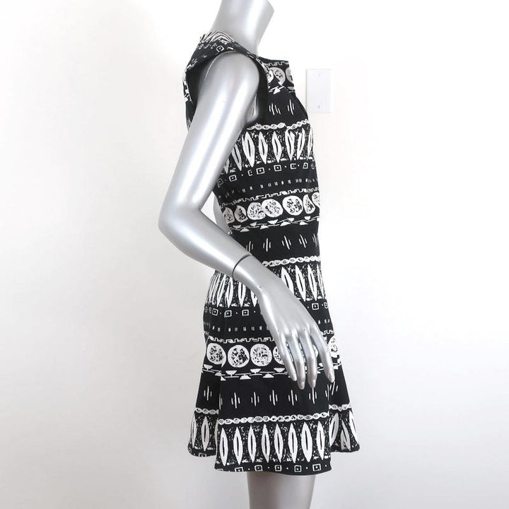 Veronica Beard Mini Dress Black/White Block Print Stretch Cotton Size 4 available at CelebrityOwned.com img_4