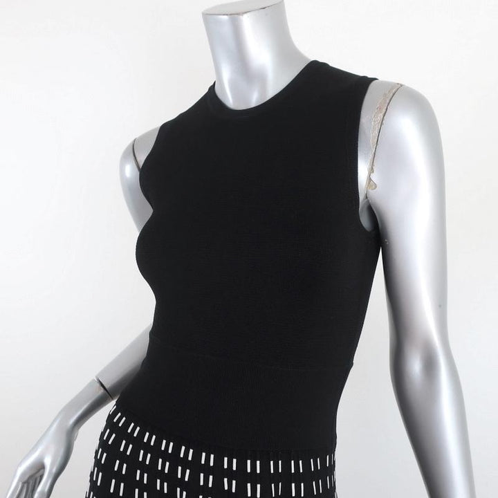 A.L.C. Dress Black/White Stretch Knit Size Extra Small Sleeveless Fit &amp; Flare - Celebrity Owned