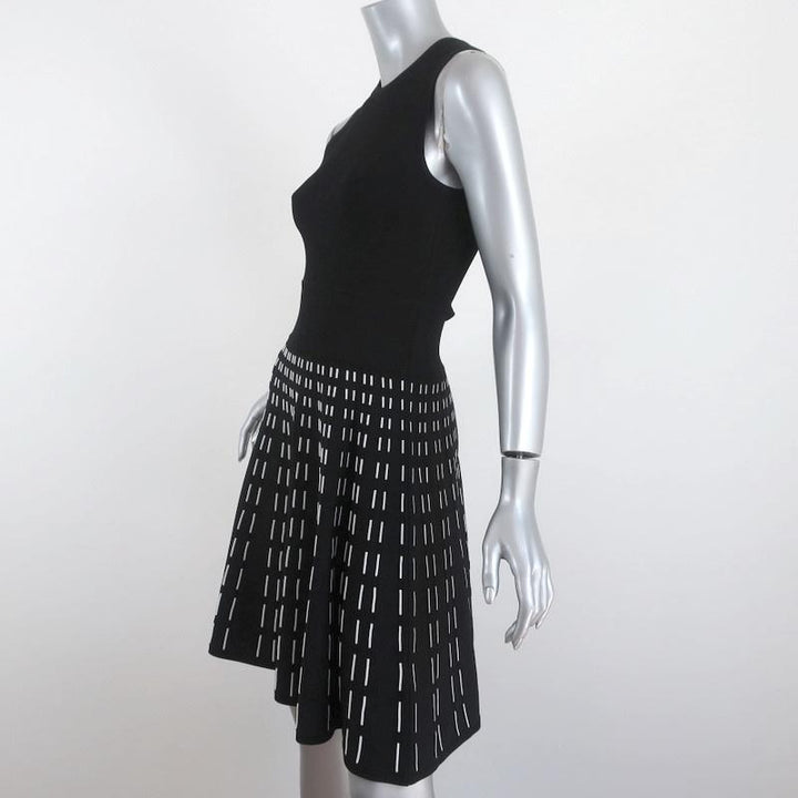A.L.C. Dress Black/White Stretch Knit Size Extra Small Sleeveless Fit &amp; Flare - Celebrity Owned