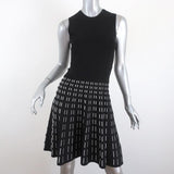 A.L.C. Dress Black/White Stretch Knit Size Extra Small Sleeveless Fit & Flare - Celebrity Owned