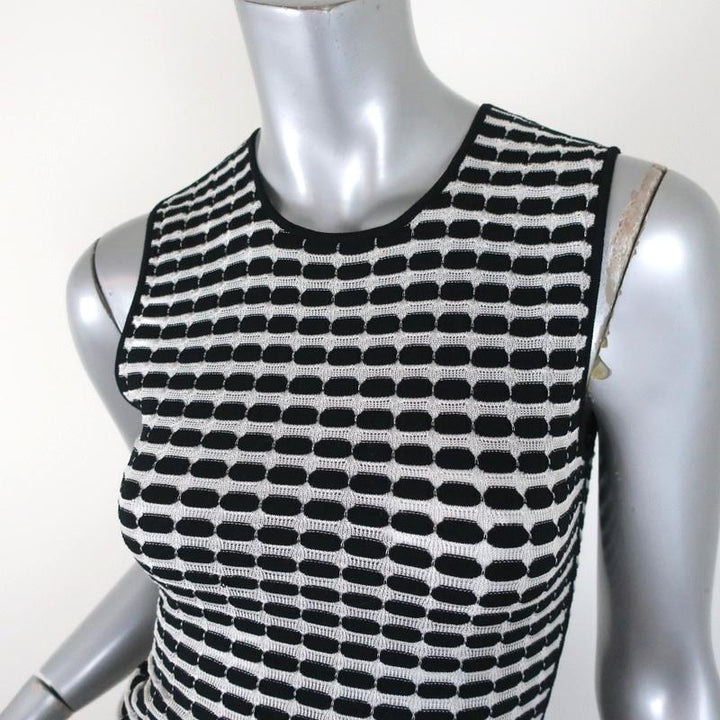 Alexander Wang Tank Black &amp; White Striped Knit Size Small Sleeveless Top - Celebrity Owned