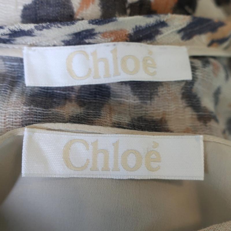 Chloe Dress Leopard Print Gauze Size 34 Long Sleeve Lace-Up Ruffled Hem - Celebrity Owned